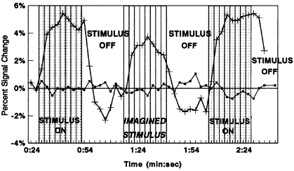 Changes in MRI signal intensity in different parts of the cortex, from Le Bihan, Turner, et al, 1993.